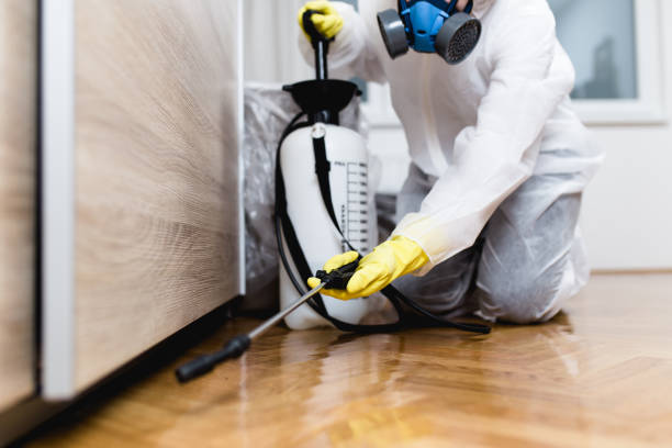Best Affordable Pest Control Services  in Franklinville, NJ