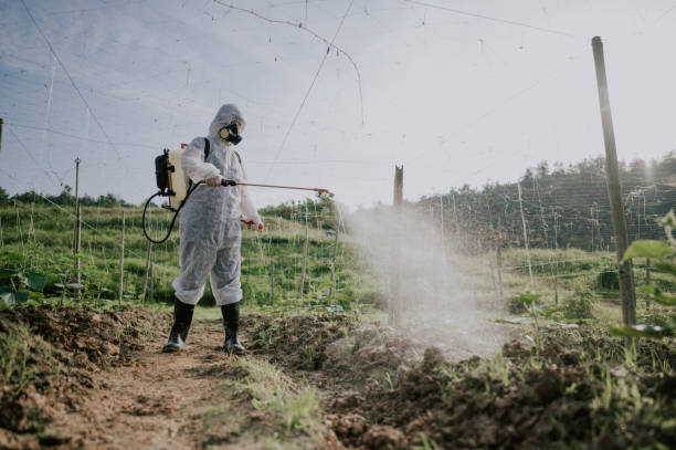Best Commercial Pest Control Services  in Franklinville, NJ