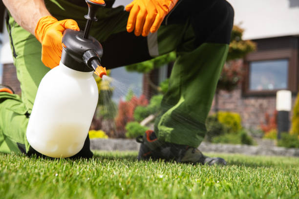Best Pest Inspection Near Me  in Franklinville, NJ