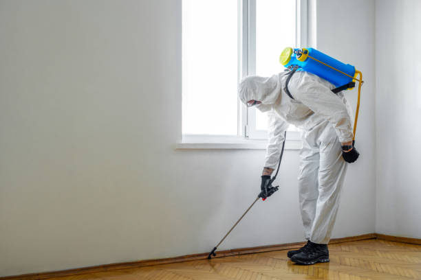 Best Pest Control Near Me  in Franklinville, NJ