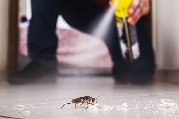 Best Pest Control for Homes  in Franklinville, NJ