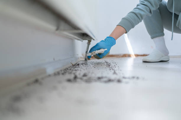 Franklinville, NJ Pest Control Company