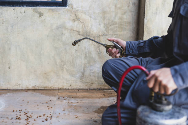 Best Rat Extermination Near Me  in Franklinville, NJ