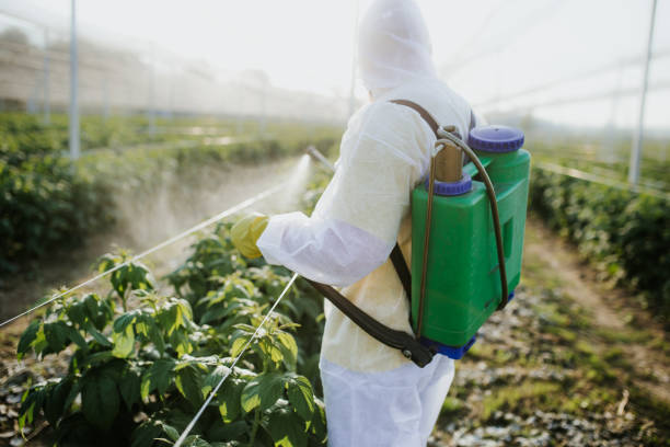  Franklinville, NJ Pest Control Pros